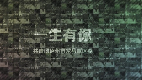 一生有你共青團(tuán)瀘州市龍馬潭區(qū)委