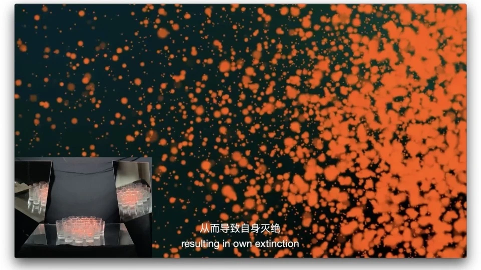 水危机|沉浸式灯光体验装置