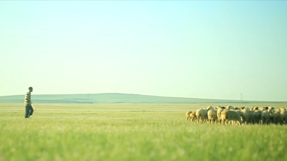 额尔敦羊业宣传片