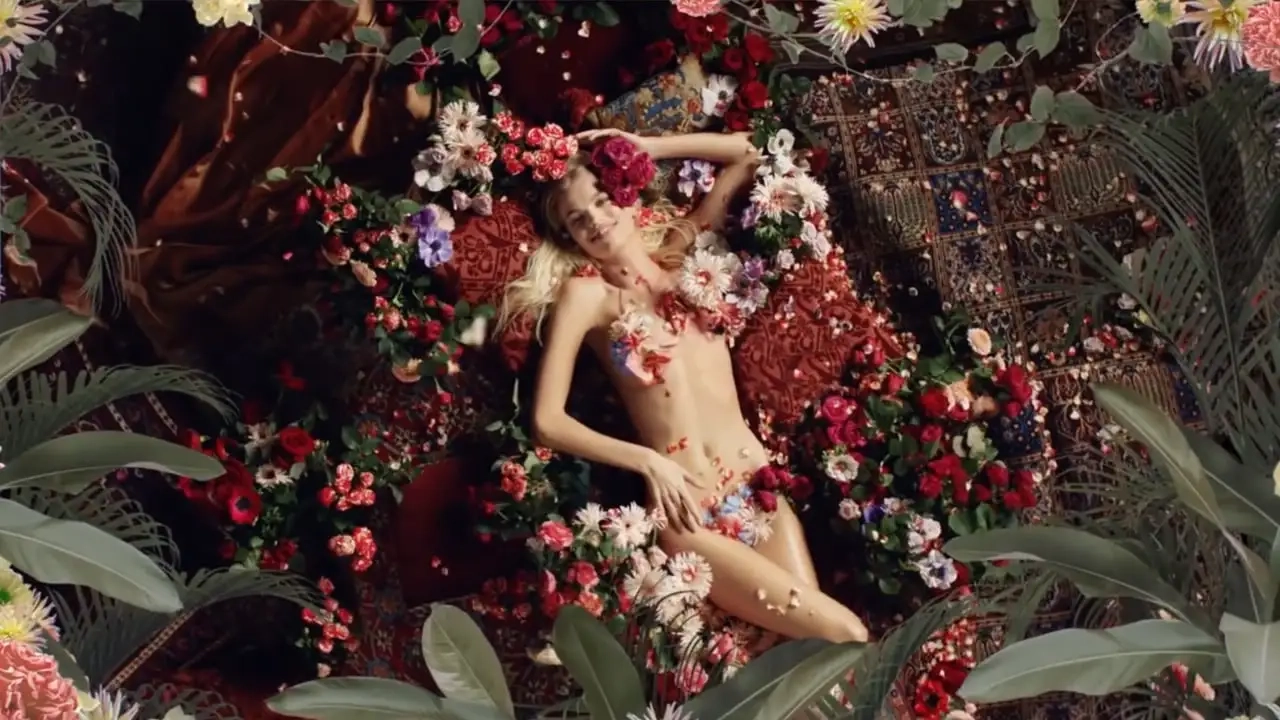 高提耶-美丽的拉贝尔