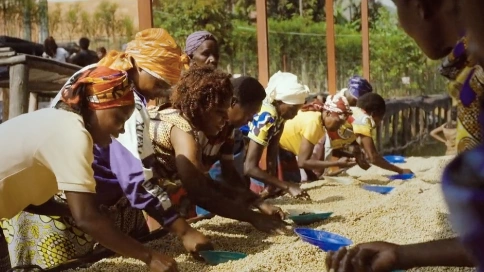 星巴克中国原产地大片 - 卢旺达咖啡故事