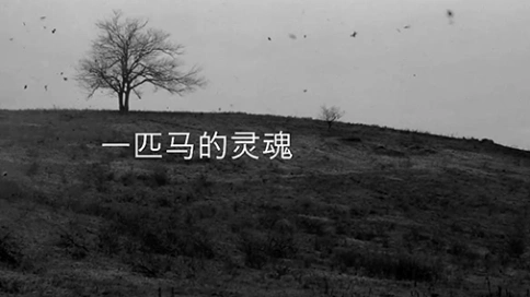 電視散文：一匹馬的靈魂（吳世康紀(jì)錄片工作室）