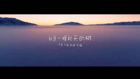 電視散文：我是一棵秋天的樹(shù)（吳世康紀(jì)錄片工作室）