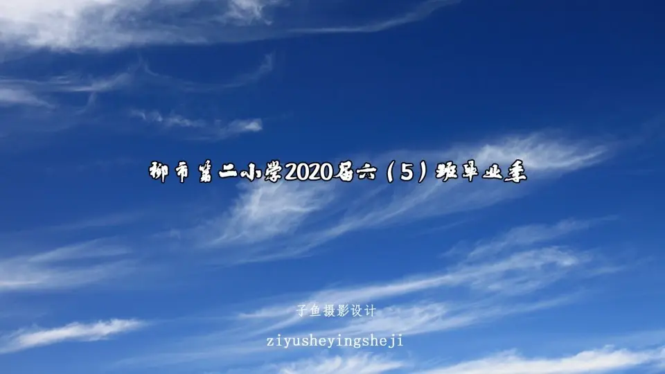 柳市第二小学2020届六五班毕业季