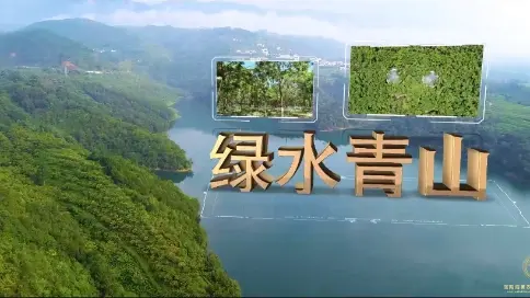 海南黃花梨.