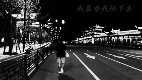 人生天地間  忽如遠(yuǎn)行客