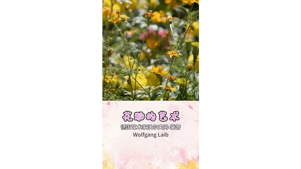 艺术类-德国艺术家沃尔夫冈·莱普