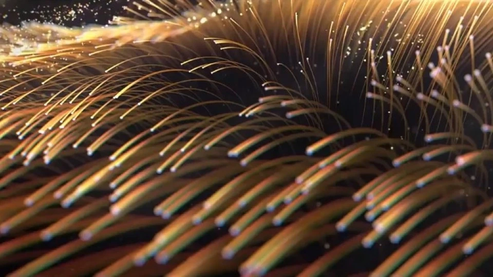 泉州市高级技术学校宣传片