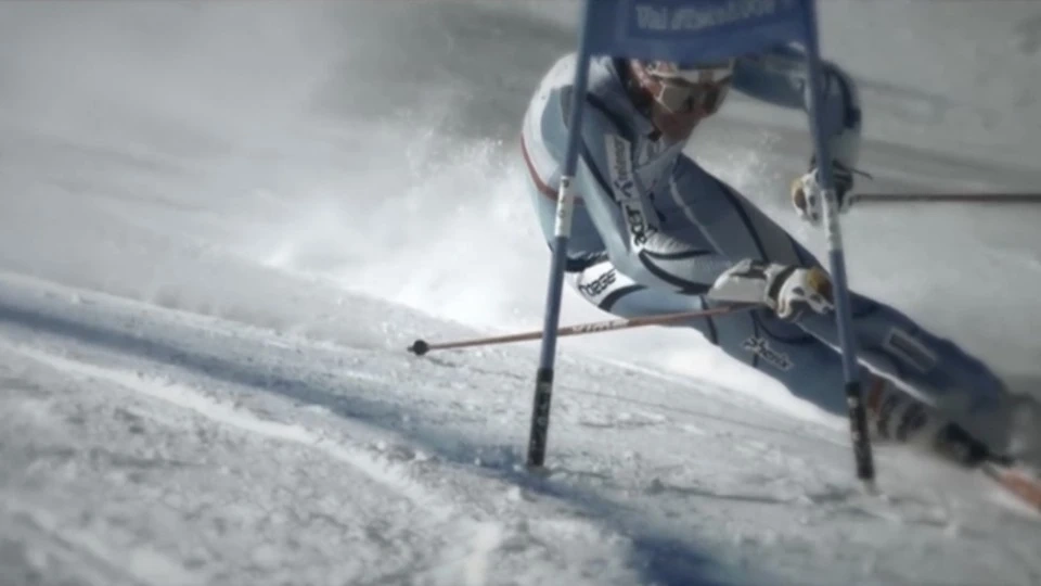 Phenix Defining Excellence