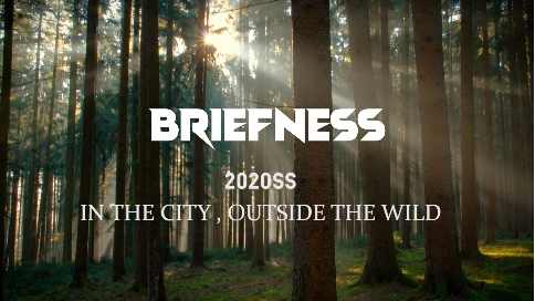 BRIEFNESS 2020概念片