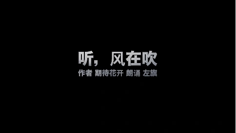 電視散文：聽，風(fēng)在吹（吳世康紀(jì)錄片工作室）