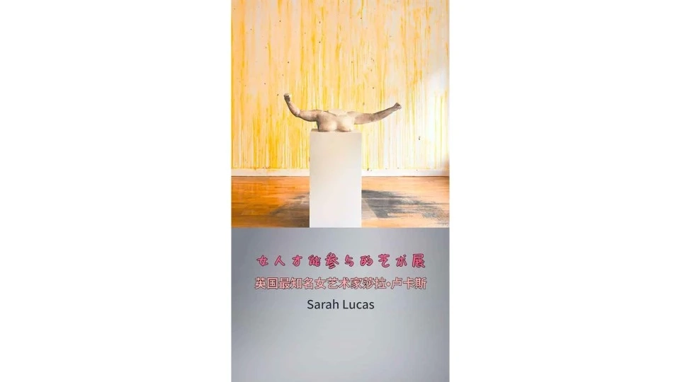艺术类-莎拉•卢卡斯