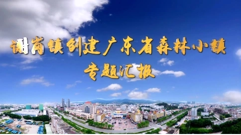 謝崗鎮(zhèn)創(chuàng)建廣東省森林小鎮(zhèn)專題匯報片