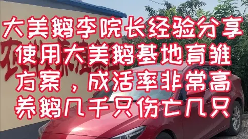 大美鹅李院长经验分享，使用大美鹅基地育雏方案，成活率非常高，养鹅几千只伤亡几只。