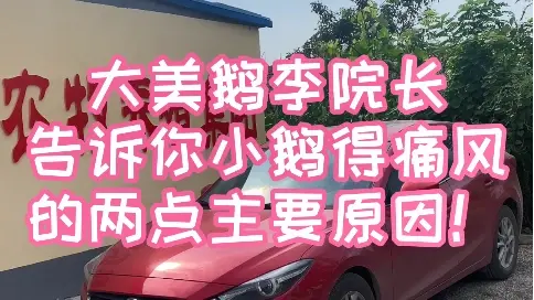 大美鵝李院長告訴你，小鵝得痛風的兩點主要原因！