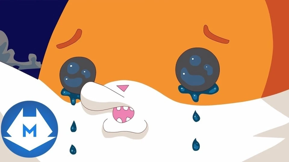 狐狸大战浣熊！可爱小动物的斗智斗勇