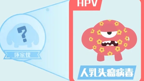 【络思作品】科普动画--HPV疫苗科普动画B级/MG动画