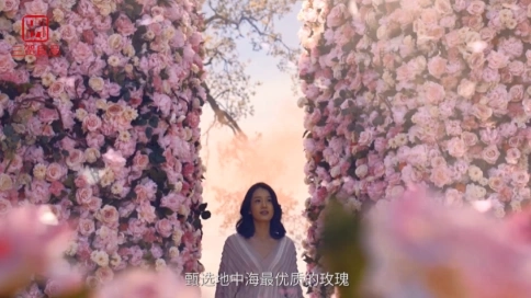 大馬士革玫瑰精油