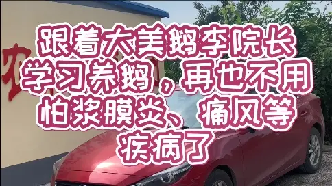 跟著大美鵝李院長(zhǎng)學(xué)習(xí)養(yǎng)鵝，再也不怕漿膜炎、痛風(fēng)等疾病了！