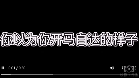 你以為你開馬自達(dá)的樣子