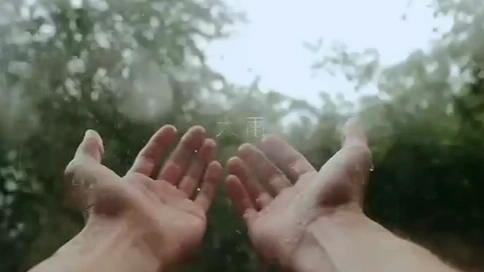 文藝視頻人文藝術(shù)情感