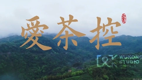產(chǎn)品宣傳片-茶葉