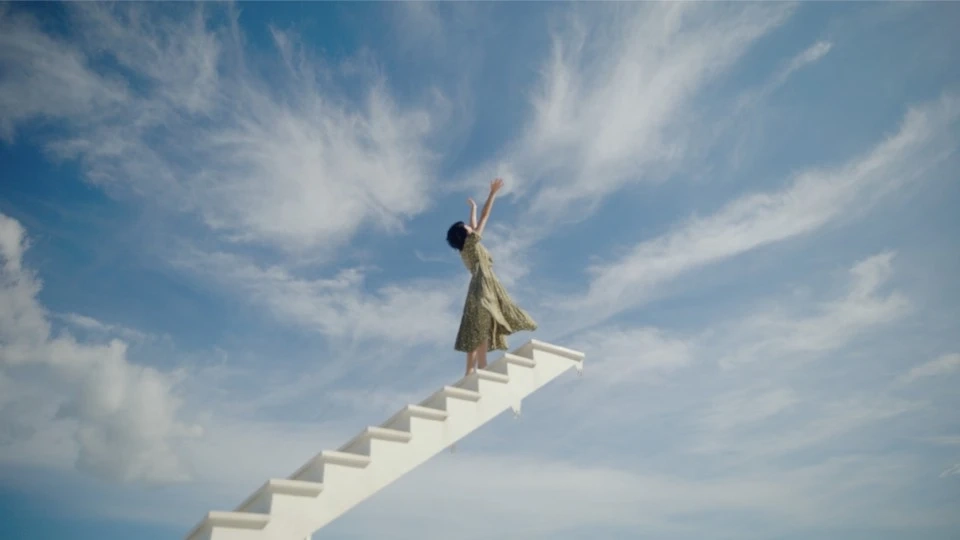 飞猪 -  就知道玩 Dir Cut