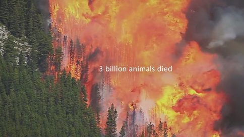 WWF：《大自然在呼唤帮助》，你再听不见就晚了