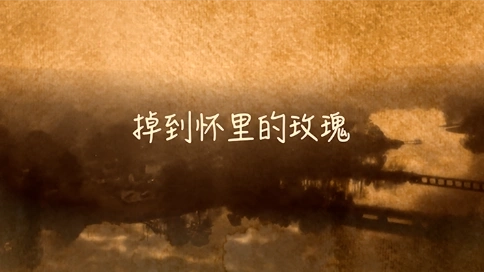 電視散文：掉到懷里的玫瑰（吳世康紀錄片工作室）