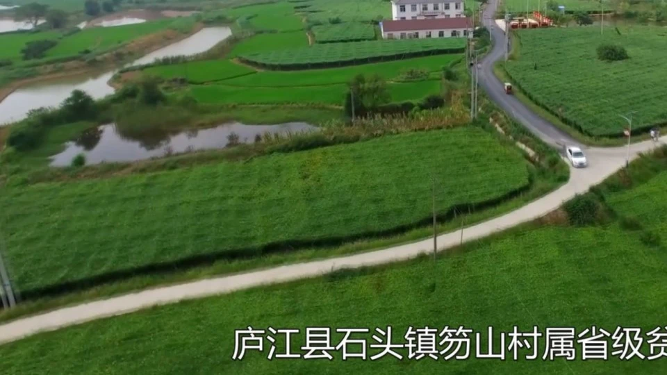 杭州银行合肥分行宣传片