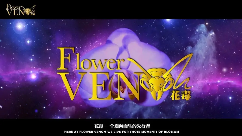 大連花毒花卉藝術有限公司官方概念宣傳片-中文版
