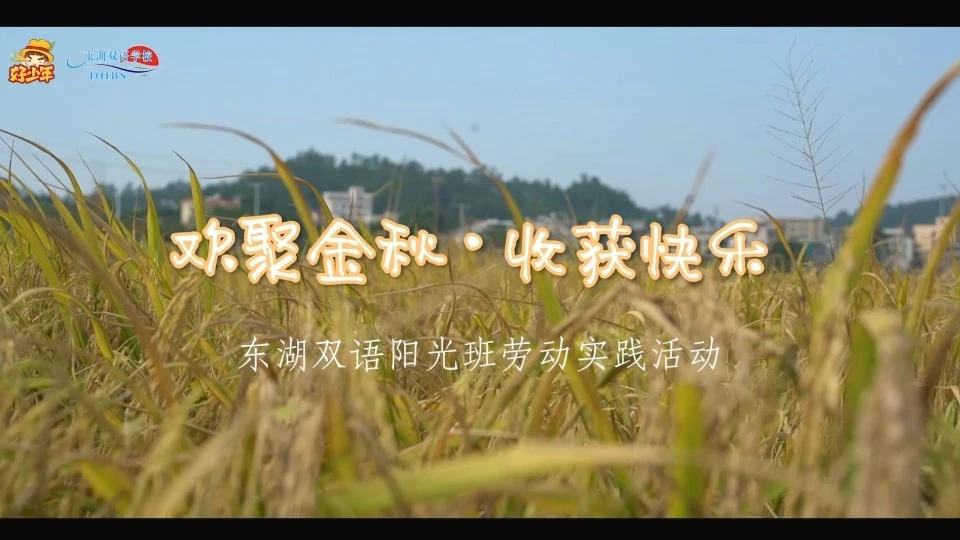 2020年·東湖雙語學(xué)校陽光班勞動實踐活動