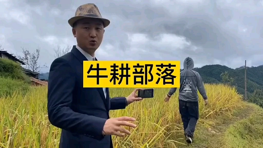 教你在稻田里如何拍攝