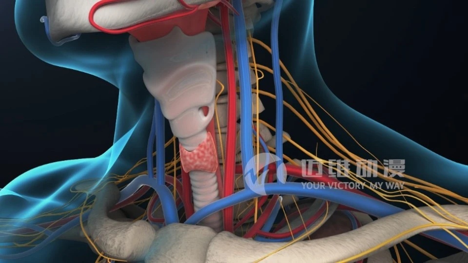 神经穿行过程医学三维动画-神经穿行过程3D仿真动画-三维动画制作