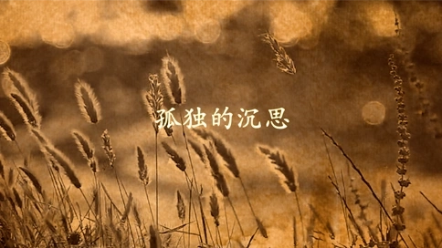 電視散文：孤獨的沉思（吳世康紀錄片工作室）