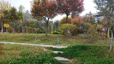 小城秋景美