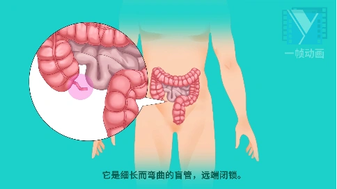 MG二维插画原创手绘 山东医院 病理宣传教学动画