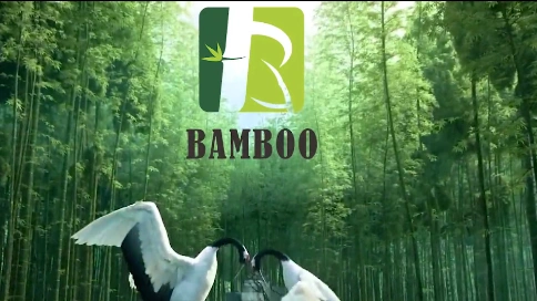 bamboo宣传片