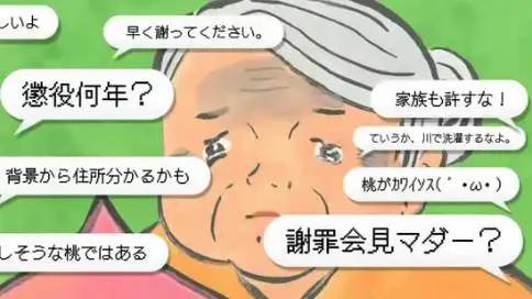 日本公益二维动画《苦情杀到桃太郎》