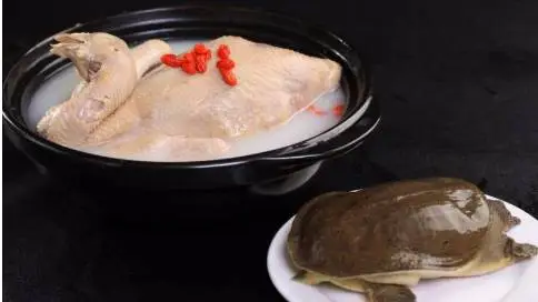 经典中国大菜里面相信没有一道可以超过“甲鱼炖鸡”