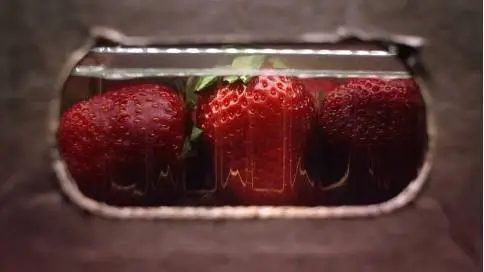 公益广告《草莓的一生》