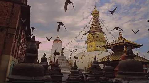 旅行纪录片《尼泊尔采蜜之行》