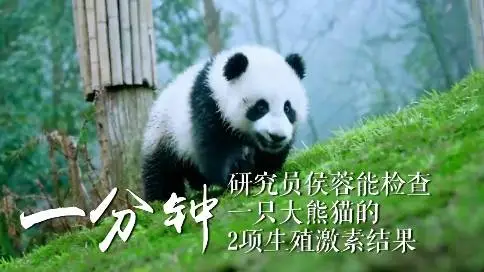 中国国家形象宣传片《中国一分钟·跬步致远》