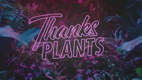 创意活动宣传片《感谢植物》