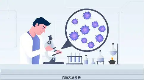 国药集团—猪圆环病毒疫苗—MG科普动画