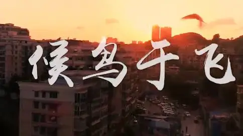 贵州纽玛柯传媒为贵州候鸟养老集团制作微电影《候鸟于飞》