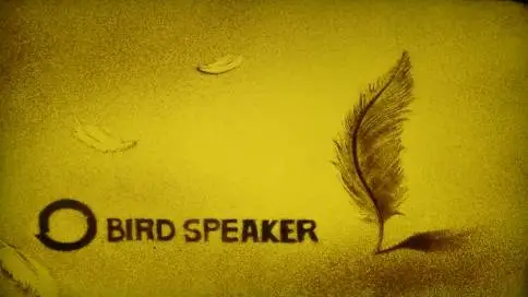 BIRD SPEAKER小鸟家庭影院沙画宣传片
