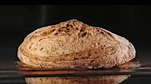 Panic面包-不一样的面包体验