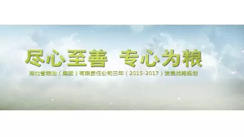 湖北粮油集团宣传片