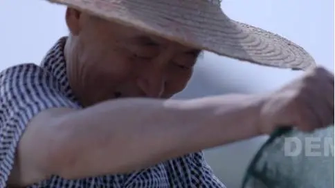 陽(yáng)澄湖大閘蟹 